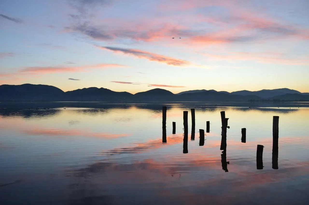 Affittacamere Hotel A pochi passi dal mare Torre del Lago Puccini